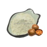 Monk Fruit Extract Manufacturer - Mogroside V5-V50% Powder