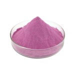 Purple Sweet Potato Powder Factory - Pure Natural Custom
