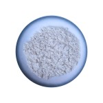 Soy Protein Isolate Manufacturer - 90% CAS 9010-10-0