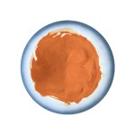 Gardenia Red Powder Supplier - Plant Extract 94238-00-3