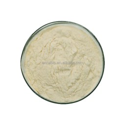 Monk Fruit Powder Supplier - Bulk Wholesale Sweetener