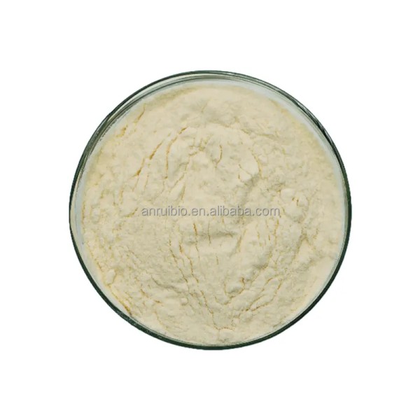 Monk Fruit Powder Supplier - Bulk Wholesale Sweetener