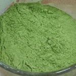 Barley Grass Powder Manufacturer - Organic Extract Custom