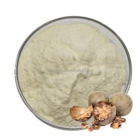 Monk Fruit Extract Manufacturer - Mogroside V5-V50% Powder