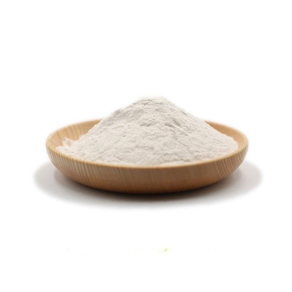 Xanthan Gum Manufacturer - Food Grade 11138-66-2 Bulk