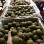 Monk Fruit Sweetener Supplier - Organic Erythritol Blend