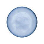 BHT Antioxidant Manufacturer - CAS 128-37-0 Custom