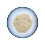 Alkaline Protease Powder Manufacturer - 200K U/g Food Grade