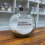 Creatine Monohydrate Factory - 80mesh 99.97% Custom