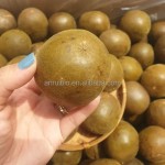 Monk Fruit Sweetener Supplier - Luo Han Guo Extract Custom