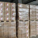 Sodium Ascorbate Factory - Vitamin C 50-81-7 Food Grade