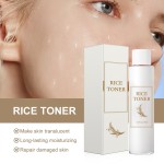 Chamomile Essential Oil Factory - Rose Body Massage