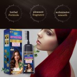 Hair Dye Shampoo Factory - With Comb Private Label