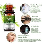 Rice Toner Supplier - Moisturizing Soothing Care