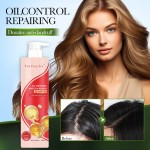 Hair Care Shampoo Factory - With Conditioner OEM