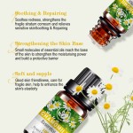 Rose Essential Oil Manufacturer - Aromatherapy Diffuser