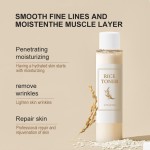 Chamomile Essential Oil Factory - Rose Body Massage