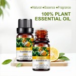 Tea Tree Oil Manufacturer - Massage Facial Care