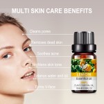 Tea Tree Oil Manufacturer - Massage Facial Care