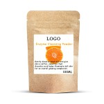 Papain Enzyme Powder Supplier - Korean GMP