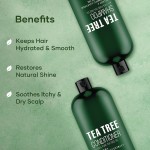 Anti Dandruff Shampoo Factory - Green Tea Formula