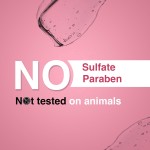 Moroccan Argan Oil Manufacturer - Heat Protectant