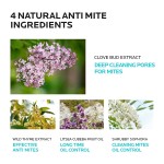 Brightening Face Wash Supplier - Niacinamide Gel