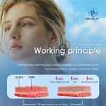 RF Vacuum System Supplier - Skin Tightening Body Shaping