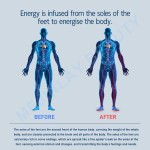 Portable Foot Therapy Manufacturer - PEMF Fatigue Relief