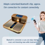 Terahertz Therapy Device Factory - PEMF Remote Control Custom