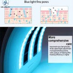 Beauty Device Factory - 7 Colors LED Pigment Removal