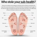 Portable Sauna Blanket Manufacturer - Plus Size Detox