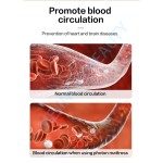 PEMF Therapy Mat Factory - Far Infrared Spa Mattress