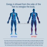 Terahertz Massager Supplier - New Design IEC60335 Certified