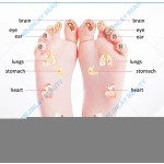 Terahertz Massager Supplier - New Design IEC60335 Certified