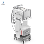 Electroporation Machine Manufacturer - No Needle Mesotherapy