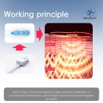 RF Vacuum System Supplier - Skin Tightening Body Shaping