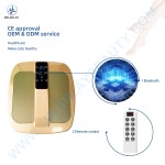Smart Foot Massager Manufacturer - Remote Control PEMF
