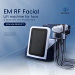 Portable EM RF Machine Manufacturer - 6 Pads Synchronized