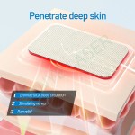 EMS TENS Therapy Factory - Muscle Stimulation Training