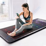 Photon Therapy Mat Supplier - Crystal Body Rejuvenation