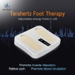 Terahertz Therapy Device Supplier - Household Office Physio