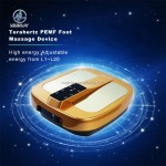 Bio Energy Massager Supplier - PEMF Terahertz Technology