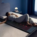 Crystal PEMF Mat Supplier - Detox Immune Boosting