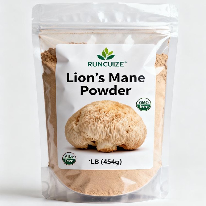 Lion Mane Mushroom Powder Supplier - Wild Sourced