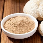 Lion Mane Mushroom Powder Supplier - Wild Sourced