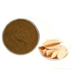 Tongkat Ali Powder Manufacturer - 10:1 Extract