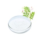 Artemisia Extract Factory - Artemisinin 99% Powder