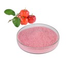 Acerola Cherry Powder Manufacturer - Vitamin C 17-25%