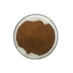 Epimedium Extract Supplier - Icariin Powder 10-20%
